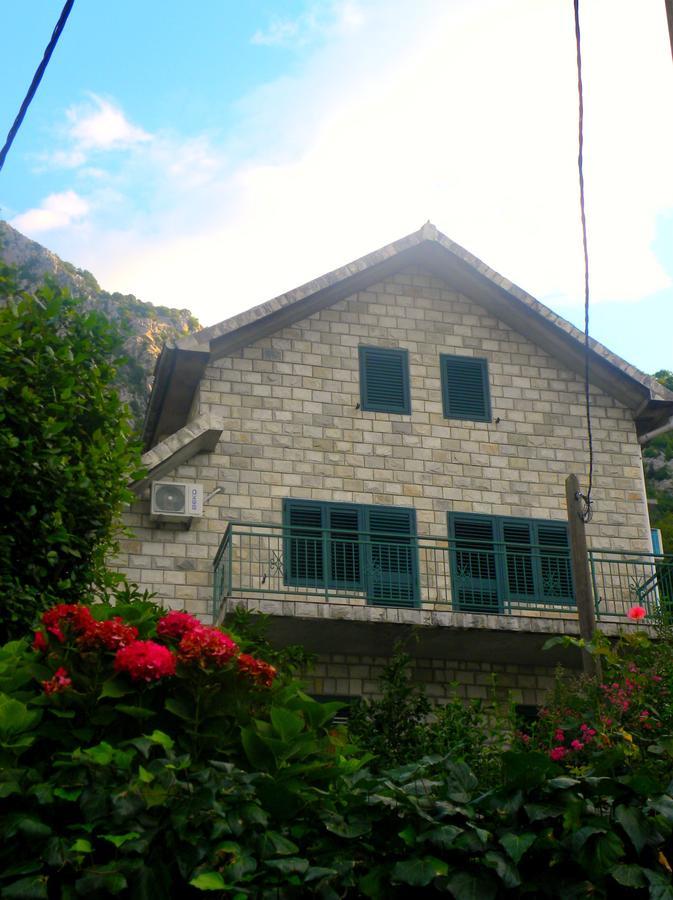 Apartments Aleksandra Risan Bagian luar foto